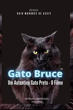 Gato Bruce - O Filme - Uma História Interessante de um Gato